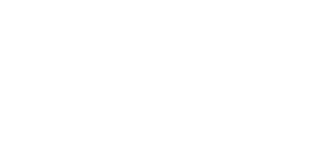 Blue Horizon Consulting